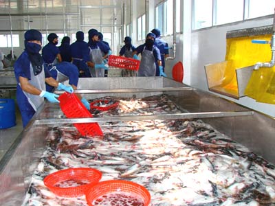 Ế hàng nghìn tấn cá tra do ''cửa'' vào Nga hẹp